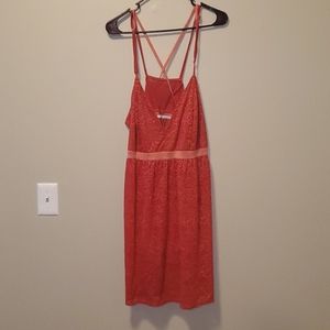 Cacique Coral Lace Summer Dress 22/24